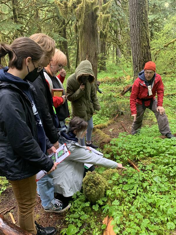 Rare Plant Identification near Mt Hood
